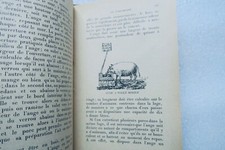 Pork and its products: bacon & hams - Image 11