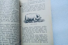 Pork and its products: bacon & hams - Image 13