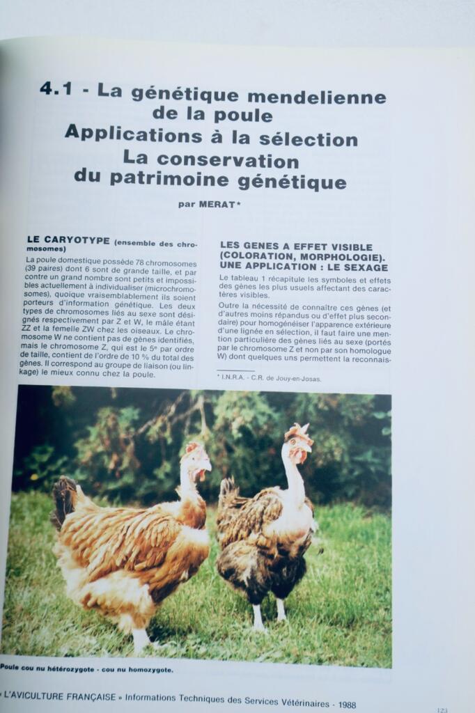 French Poultry Farming 1988