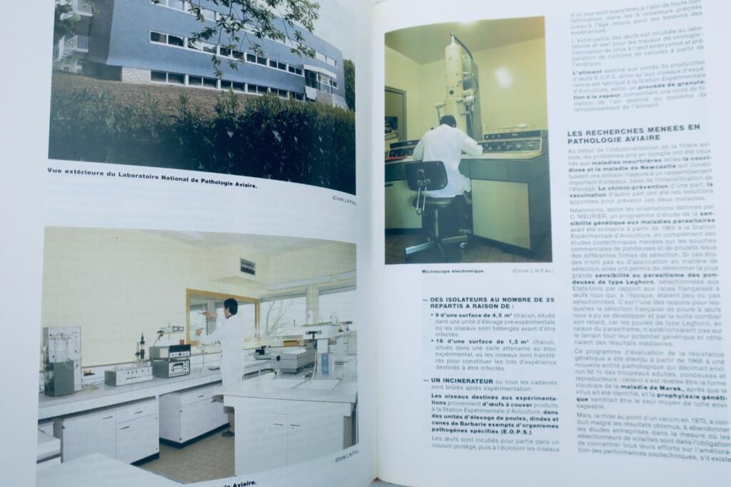 French Poultry Farming 1988