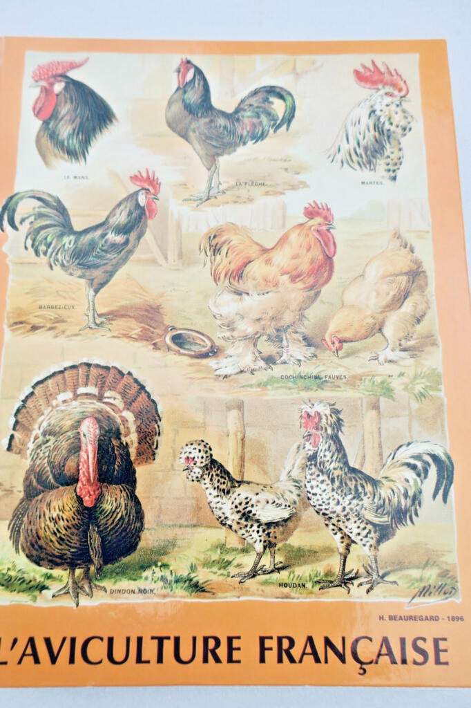 French Poultry Farming 1988