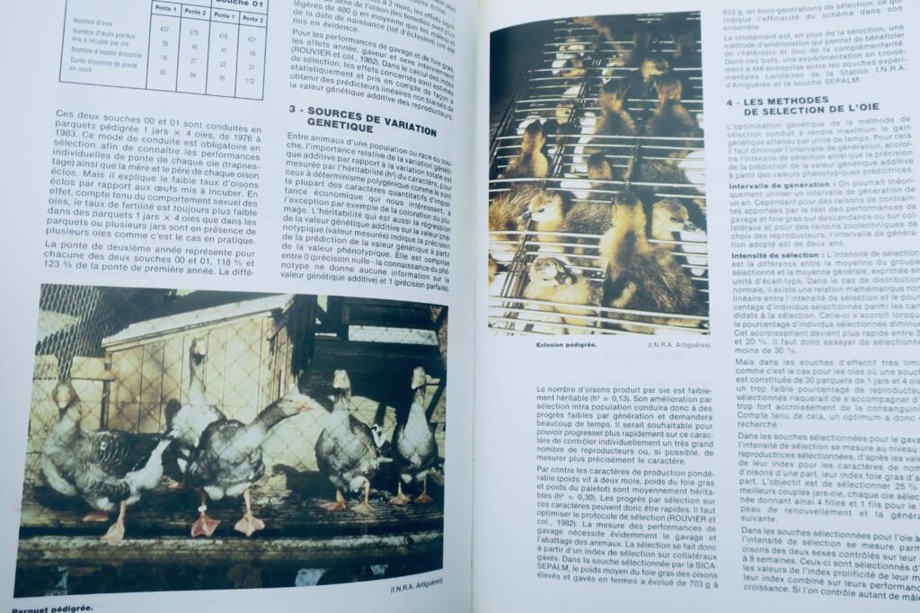 French Poultry Farming 1988