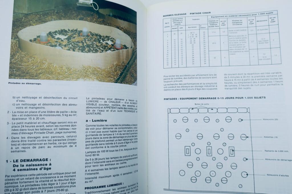 French Poultry Farming 1988
