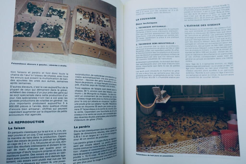 French Poultry Farming 1988