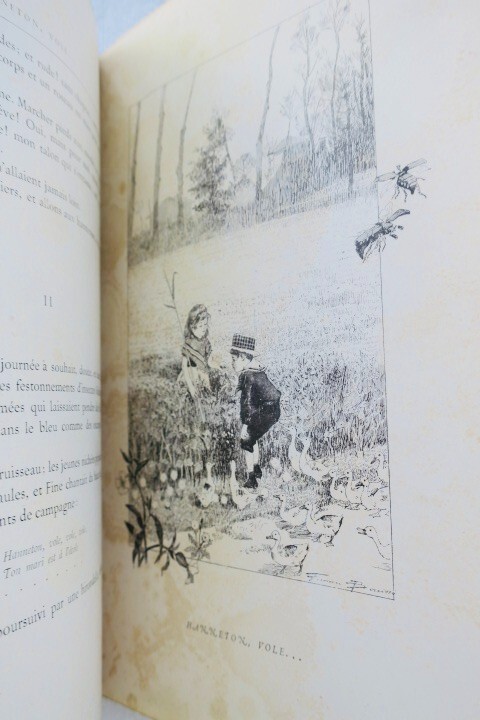 少年向け物語と挿絵入り馬の物語 - Image 3