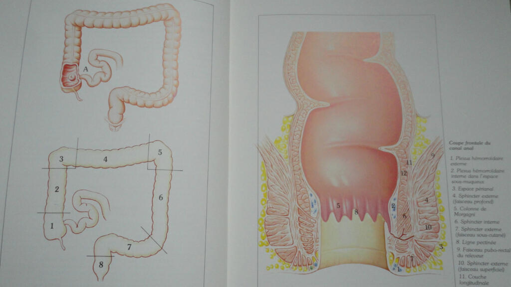 Practical Guide to Constipation Treatment