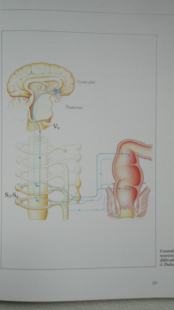 Practical Guide to Constipation Treatment