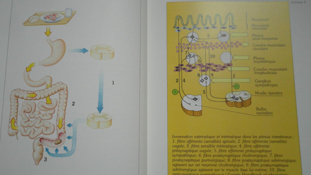 Practical Guide to Constipation Treatment