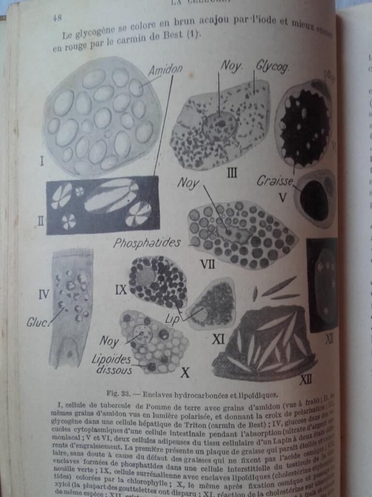 Summary of Histology, Volumes I & II
