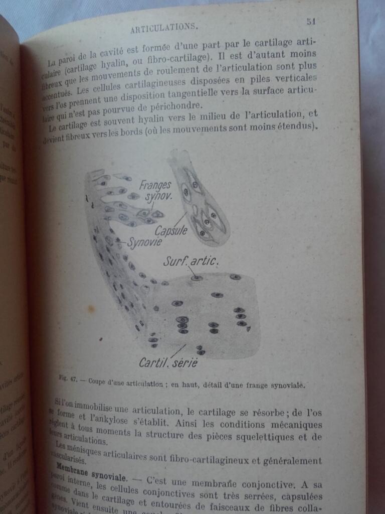 Summary of Histology, Volumes I & II