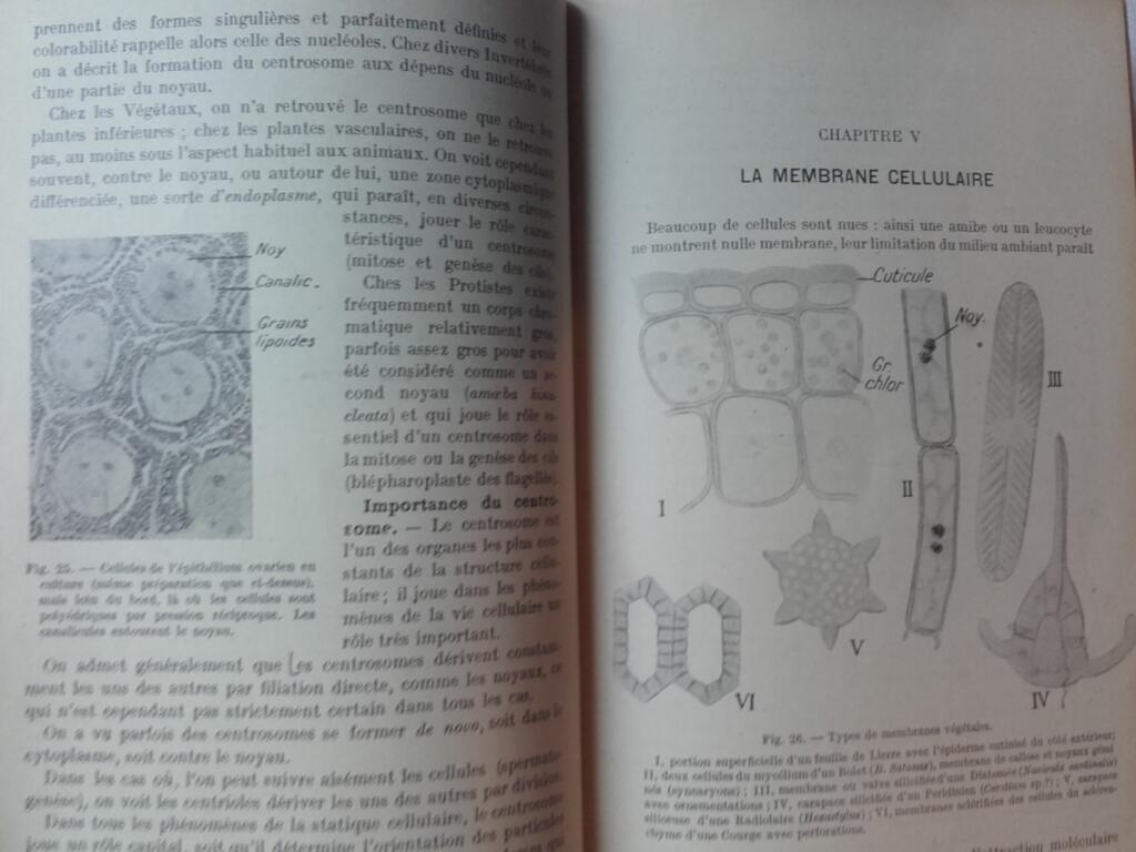 Summary of Histology, Volumes I & II
