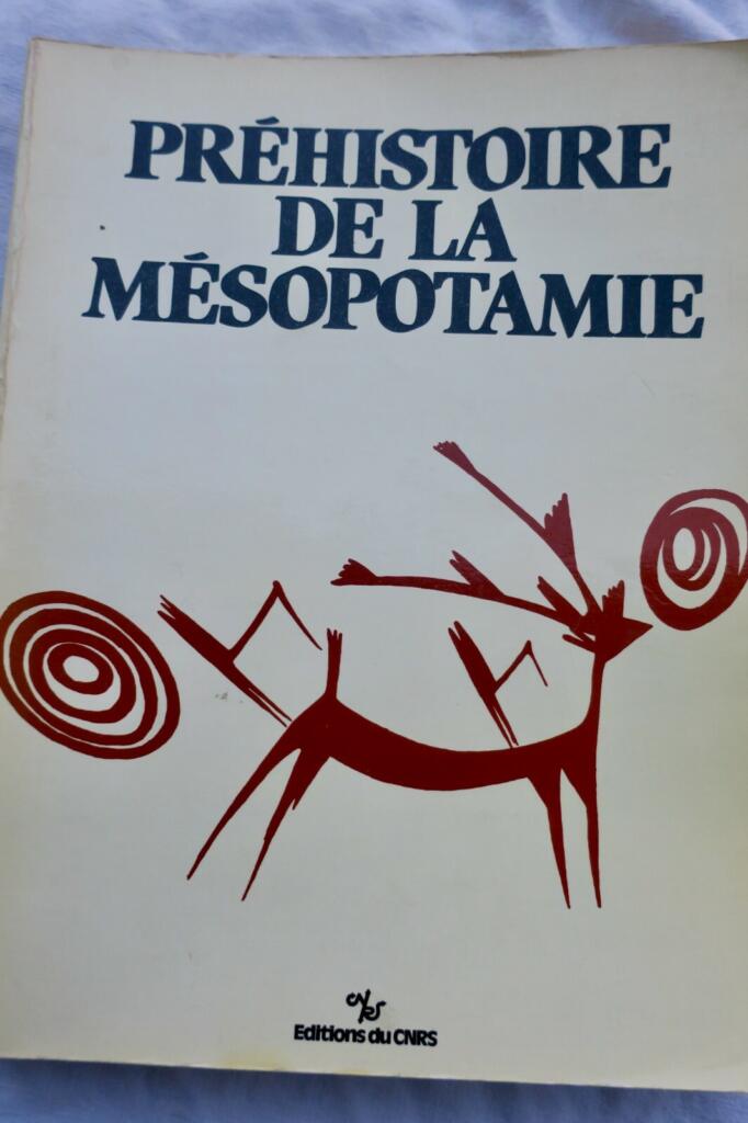 Exploration of Prehistoric Mesopotamia
