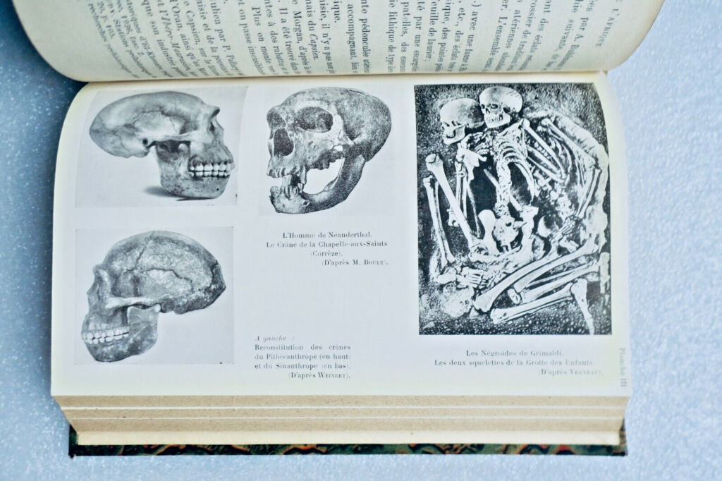 Préhistoire FURON RAYMOND MANUEL DE PREHISTOIRE GENERALE, EUROPE, ASIE, AFRIQUE.