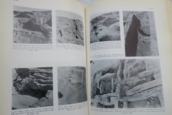 Archaeological Insight into Sistan