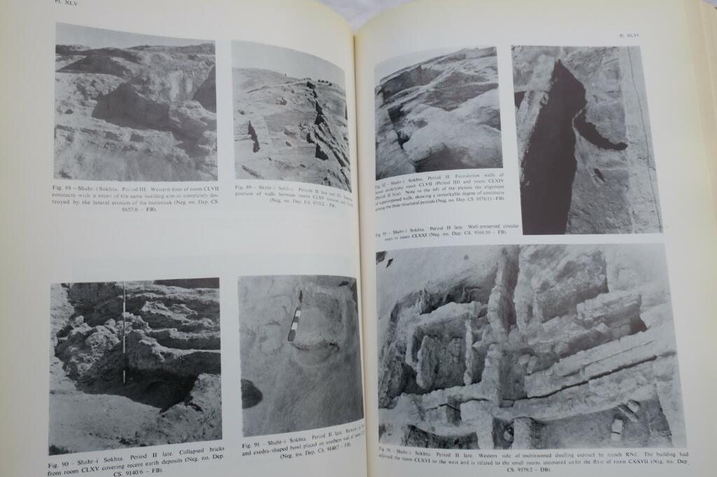 Archaeological excavations at Shahr-e Sukhteh, Iran