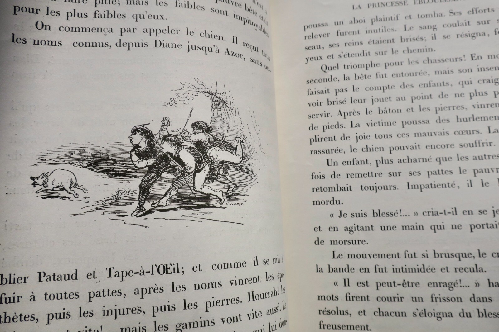 耀眼公主的故事<span class="lla-card-orig-wrap"><span class="lla-card-orig">❦ Princesse éblouissante illust-Bertall 1870</span></span> - La Librairie Antique