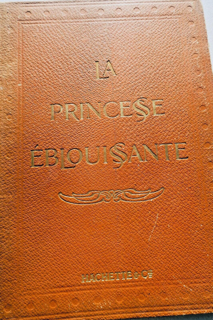 The Dazzling Princess - Illustrated Edition
