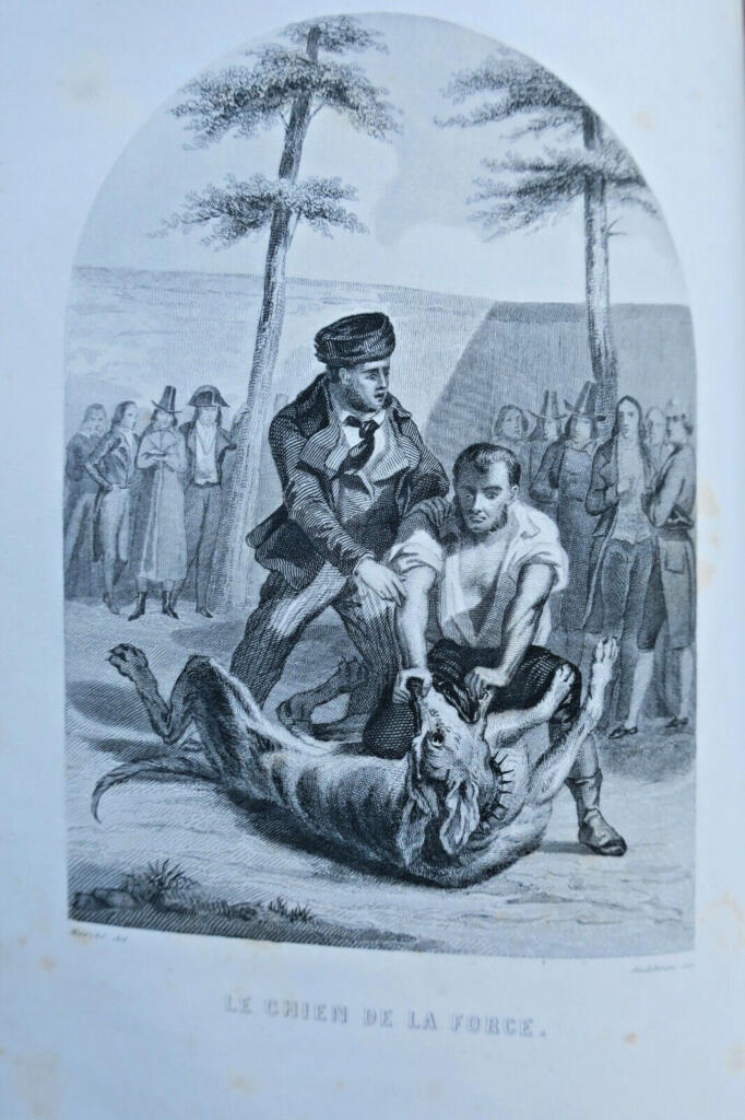 European Penitentiaries: Illustrated Study
