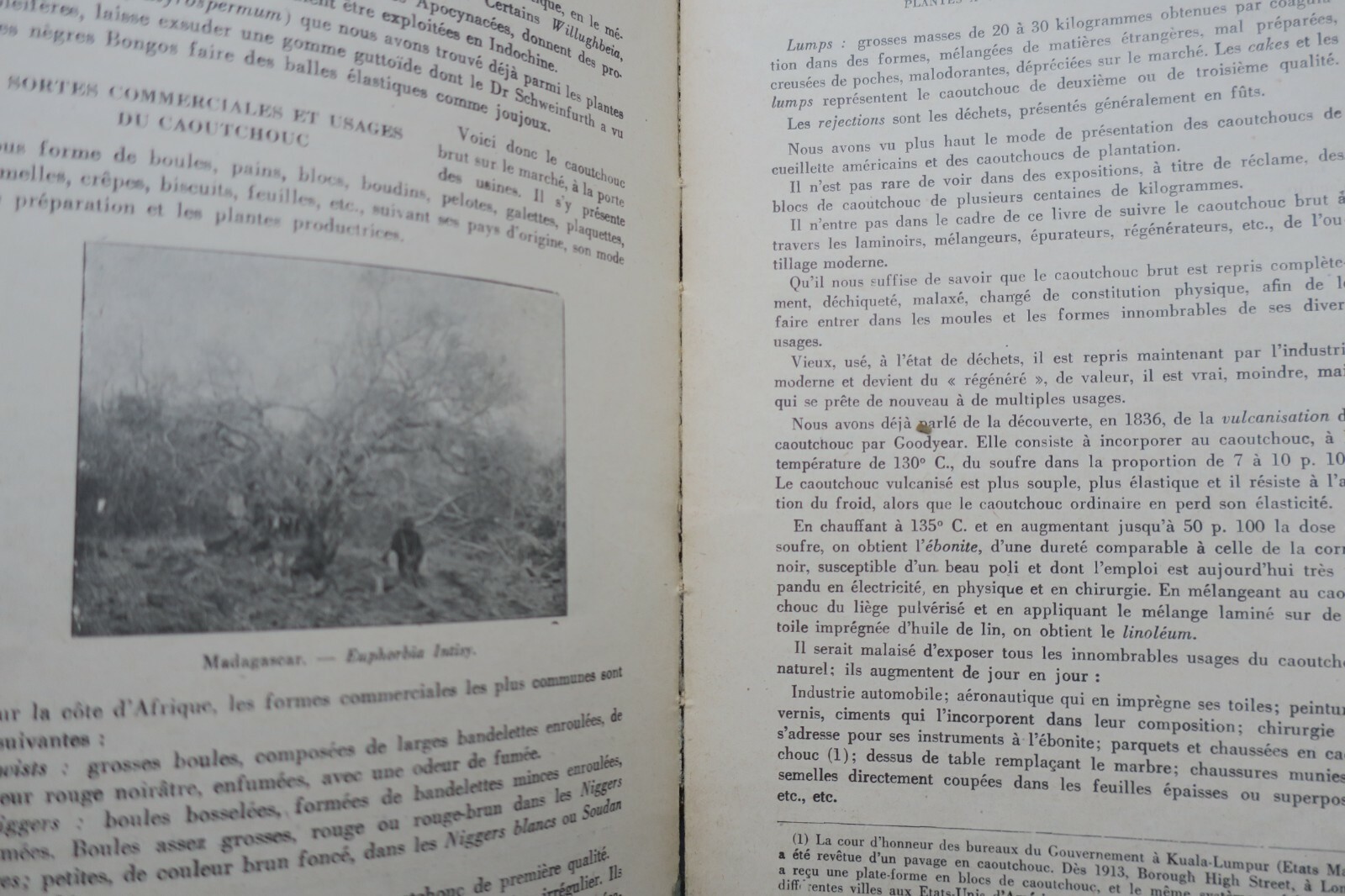 Colonial Plant Products: Agricultural Guide<span class="lla-card-orig-wrap"><span class="lla-card-orig">❦ Produits coloniaux d’origine végétale 1930</span></span> - La Librairie Antique