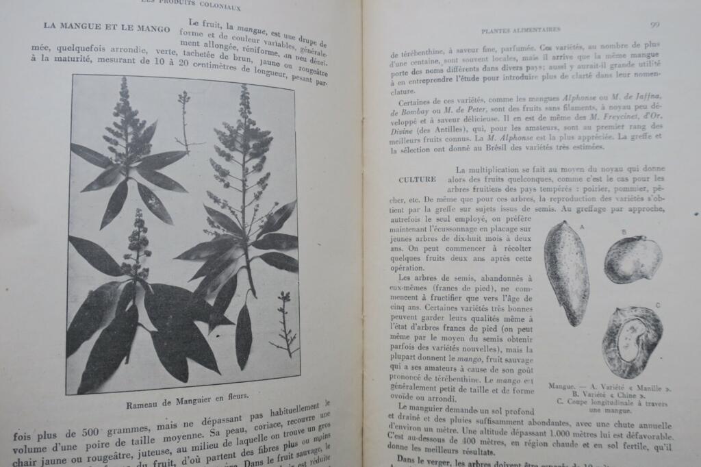Colonial plant products overview