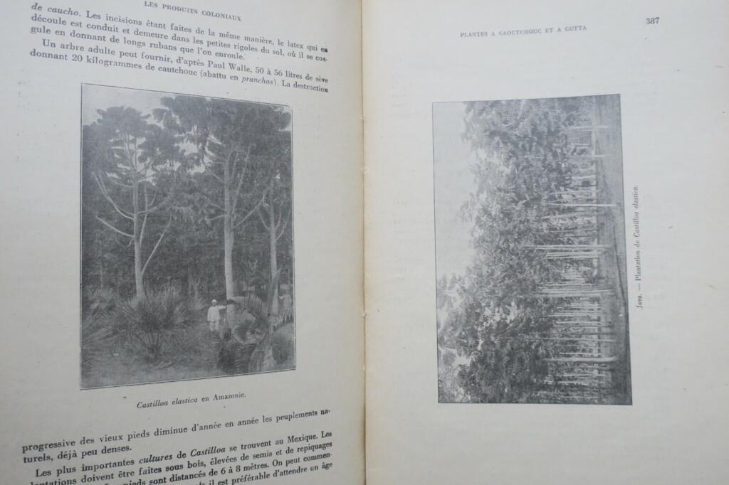 Colonial plant products overview