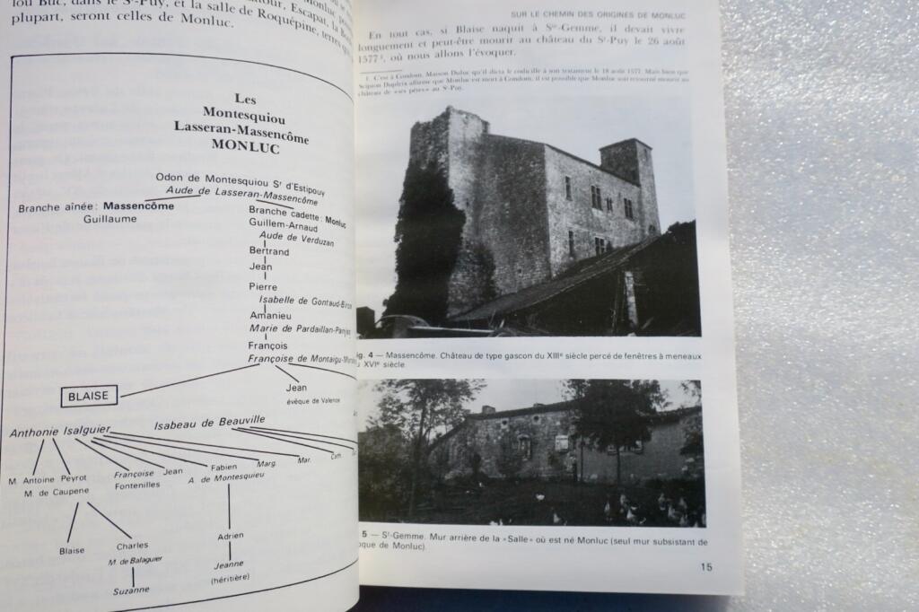 Explorations in Gascony with Monluc