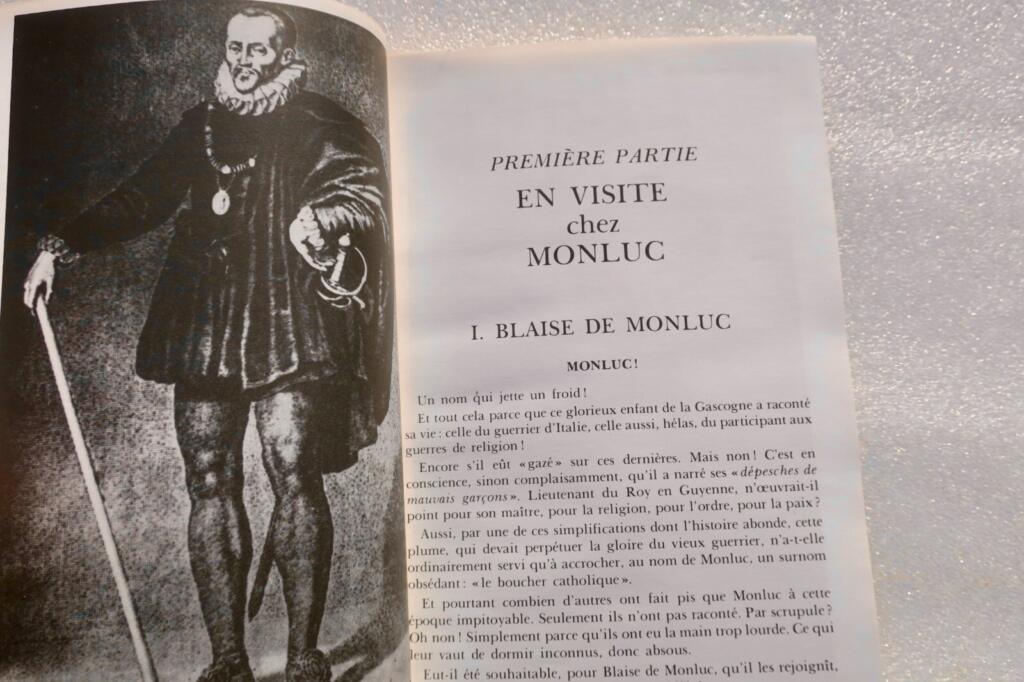 Explorations in Gascony with Monluc