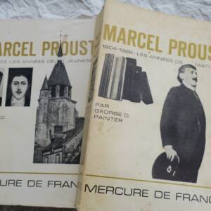 Prousts Jugend- und Reifejahre