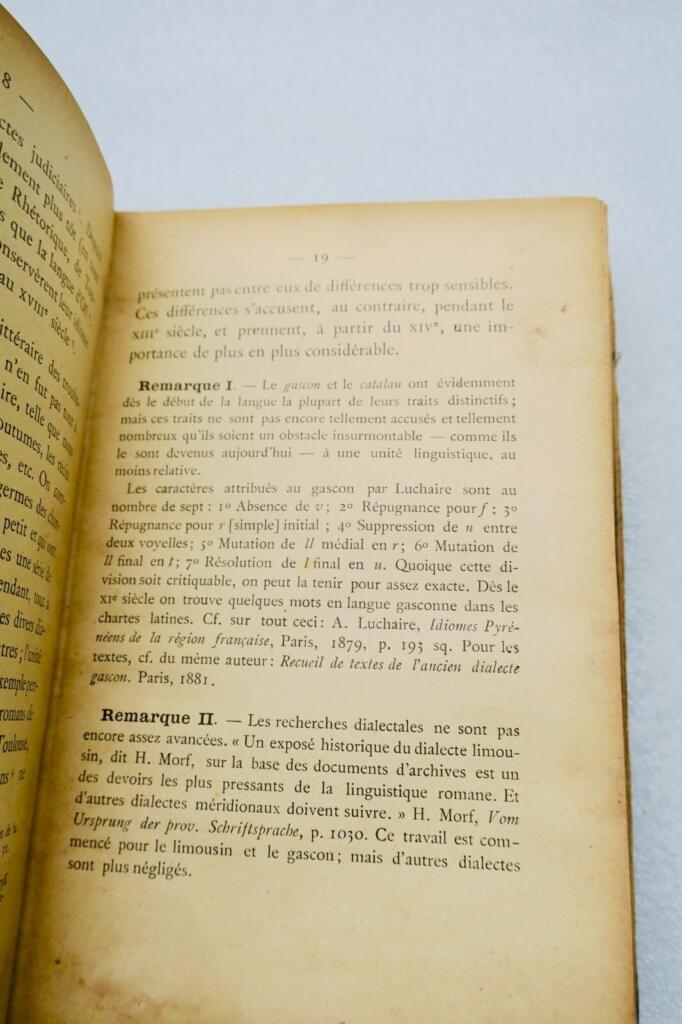 Ancient Provençal language phonetics and morphology