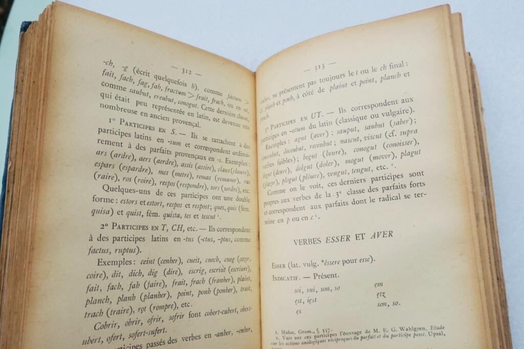 Ancient Provençal language phonetics and morphology