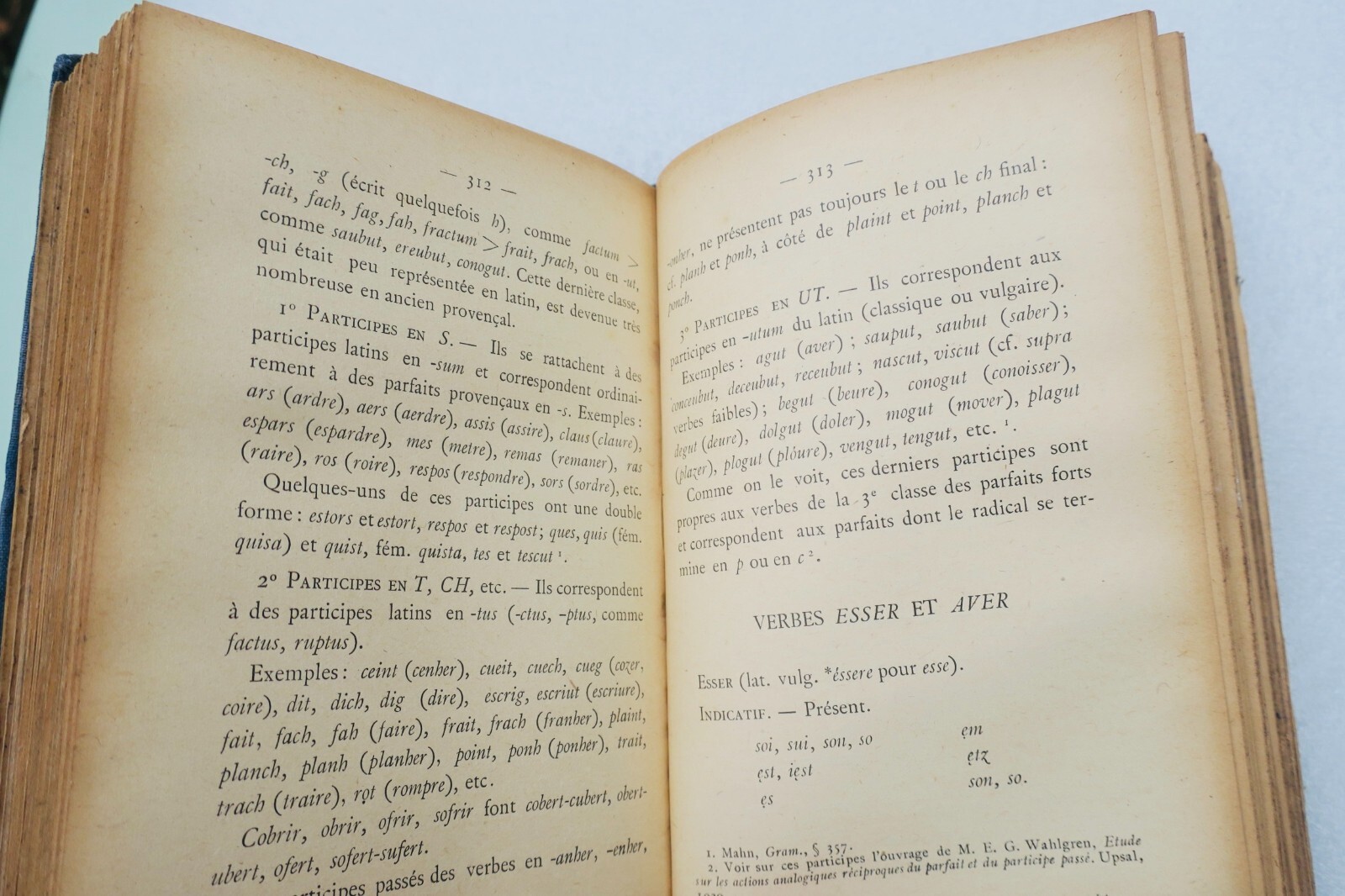 Provençal GRAMMAIRE DE L'ANCIEN PROVENCAL OU ANCIENNE LANGUE D'OC 1921 – Image 4