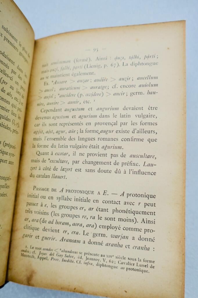 Ancient Provençal language phonetics and morphology