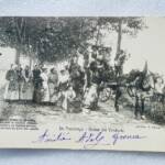 Provence Postkarten 1902-1905