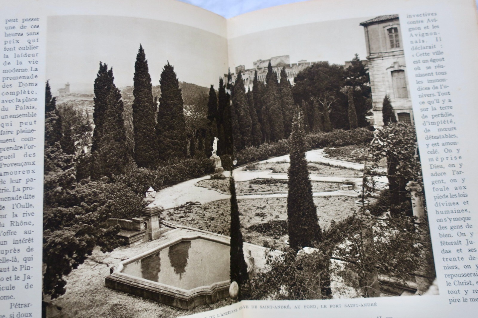 Illustrierte Regionalreise durch die Provence - Image 4