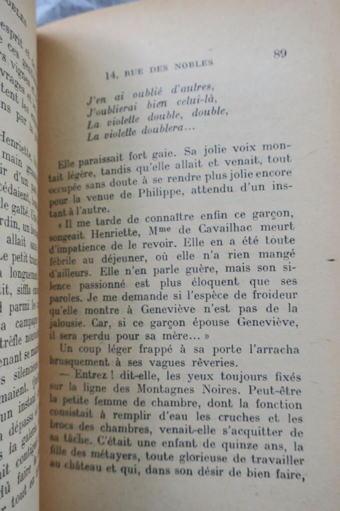 Roman im historischen Paris