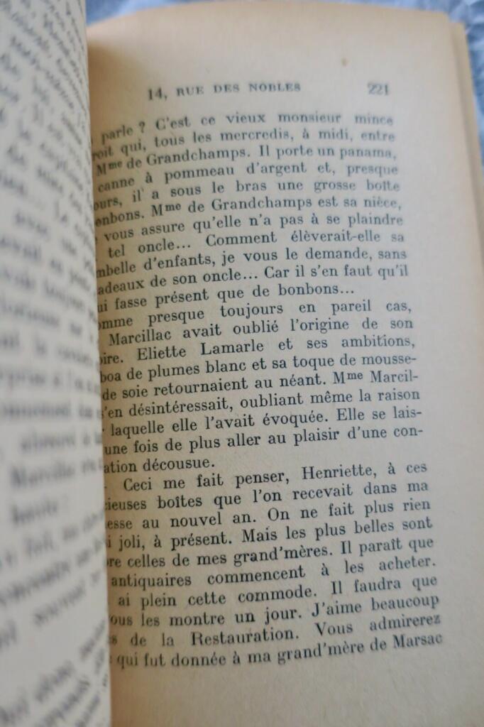 Roman im historischen Paris