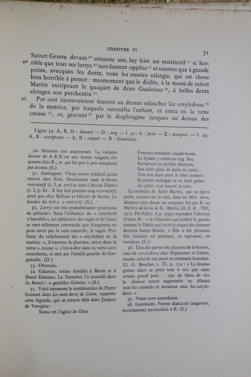 RABELAIS champion 1913 – Image 4