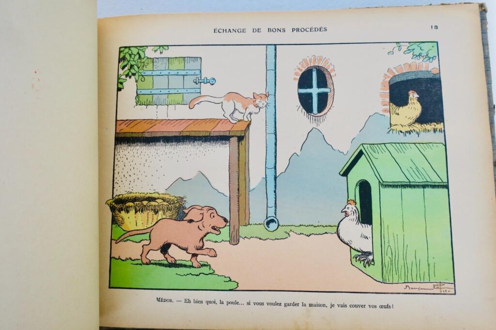 動物たちの遊び