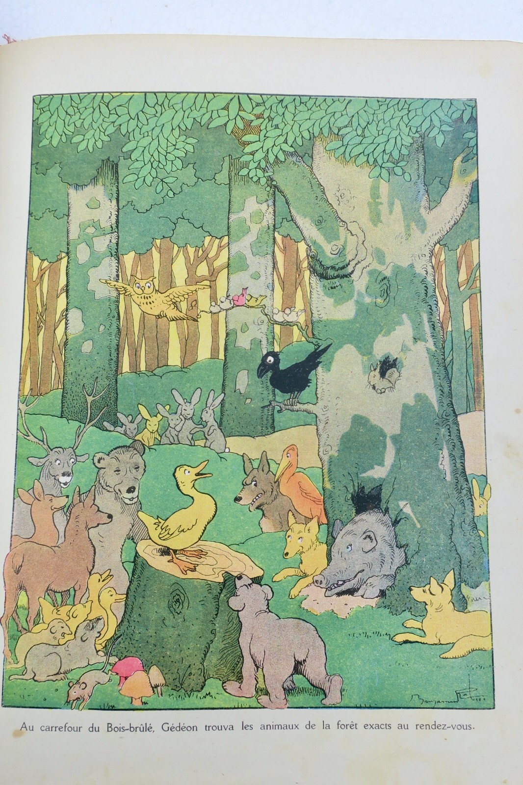 Gédéon's Forest Adventures - Image 12