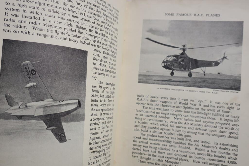 Britische königliche Luftwaffe illustrierter Führer