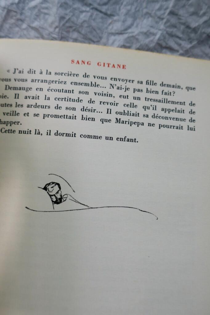 Gypsy Blood - Illustrated Edition