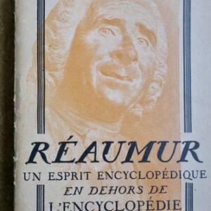 An encyclopedic spirit beyond the Encyclopedia