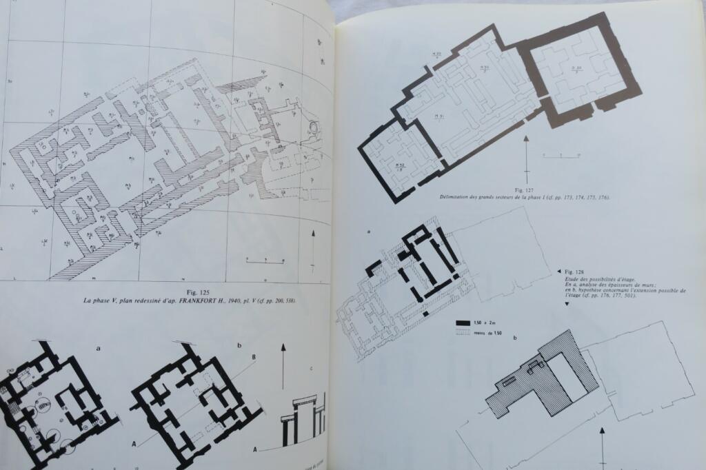 Mesopotamian Bronze Age Palaces Study