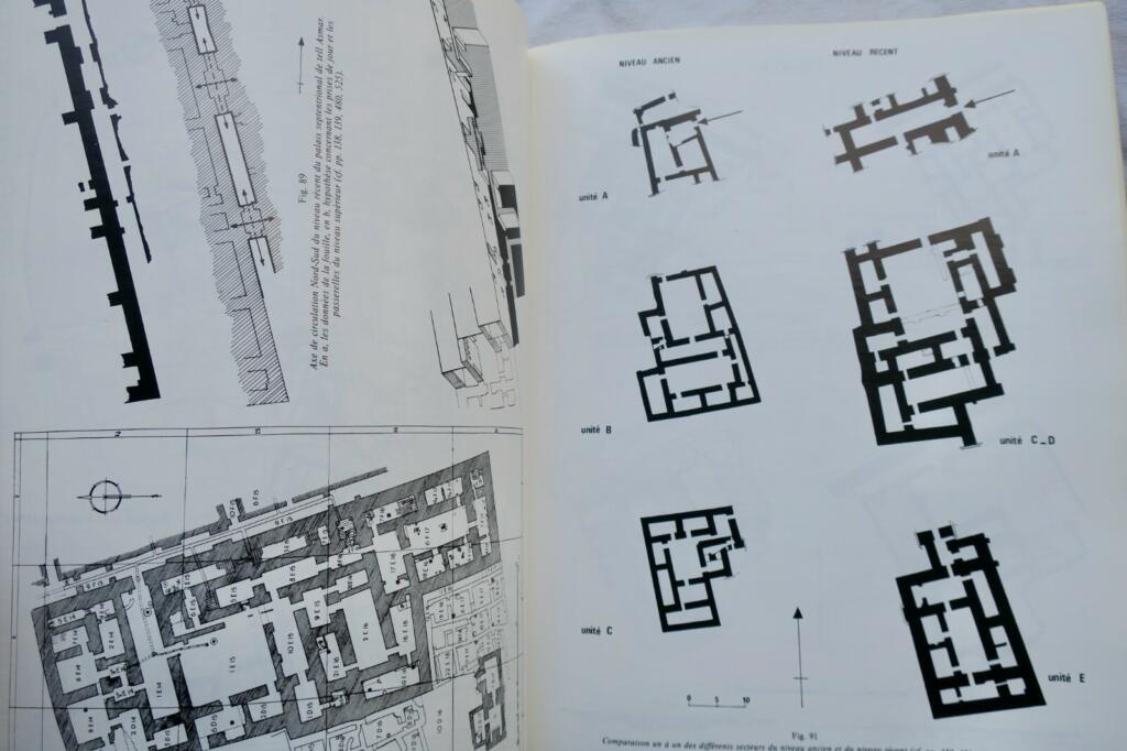 Mesopotamian Bronze Age Palaces Study