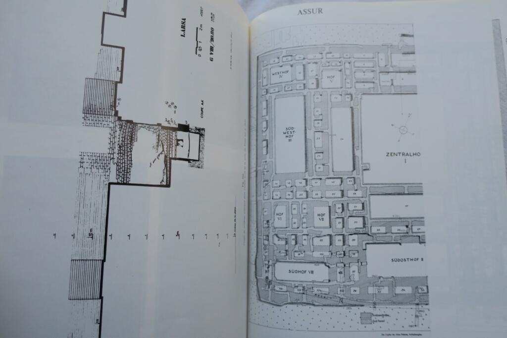 Mesopotamian Bronze Age Palaces Study