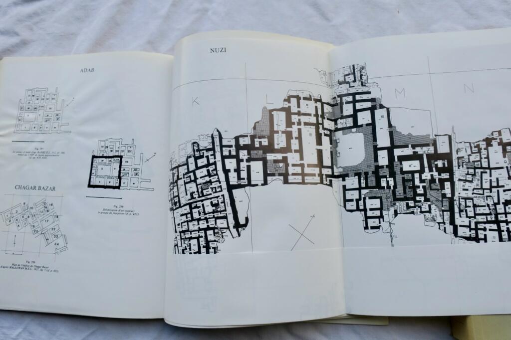 Bronze Age Mesopotamian Palace Architecture