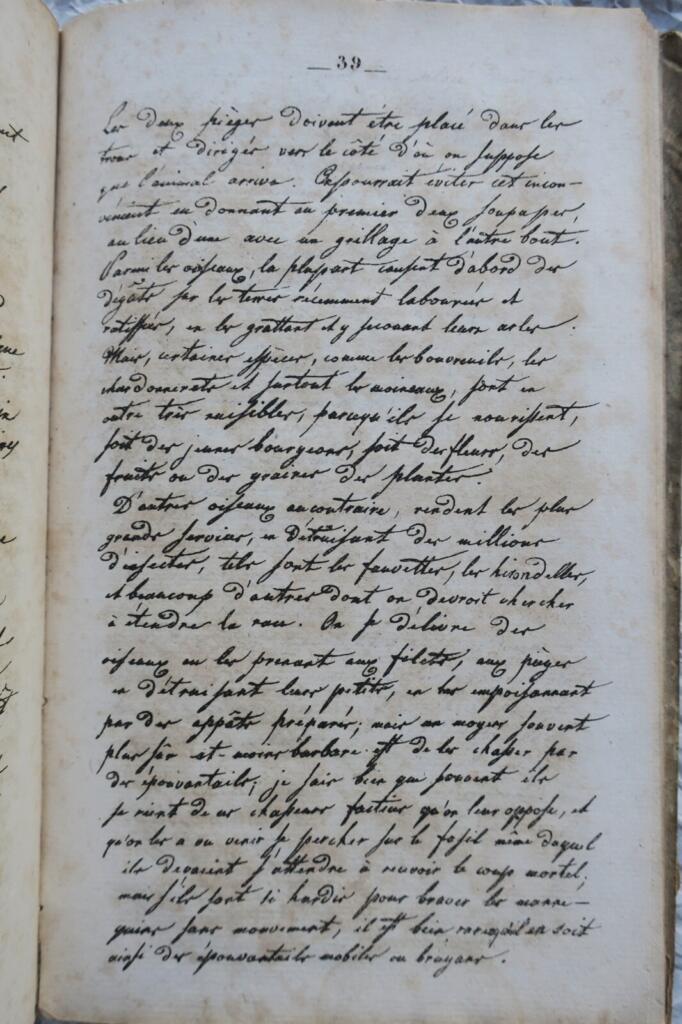 Facsimiles of French and English Scripts