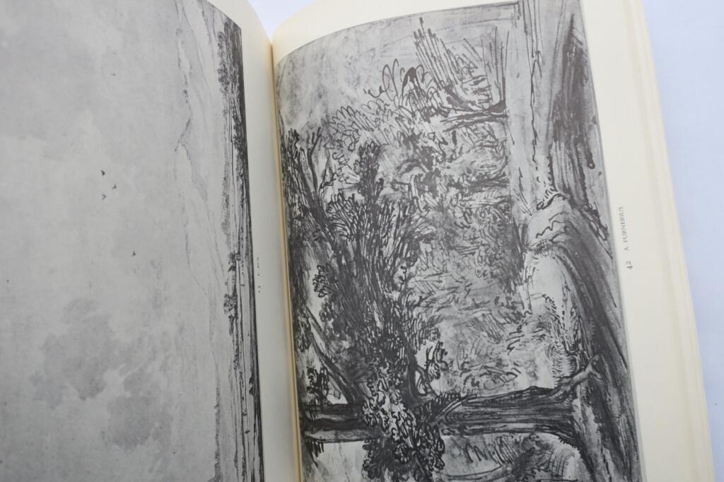 Rembrandt and His Contemporaries - Drawings