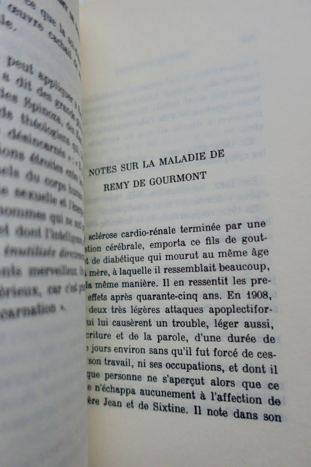 医師が見たREMY DE GOURMONT - Image 6