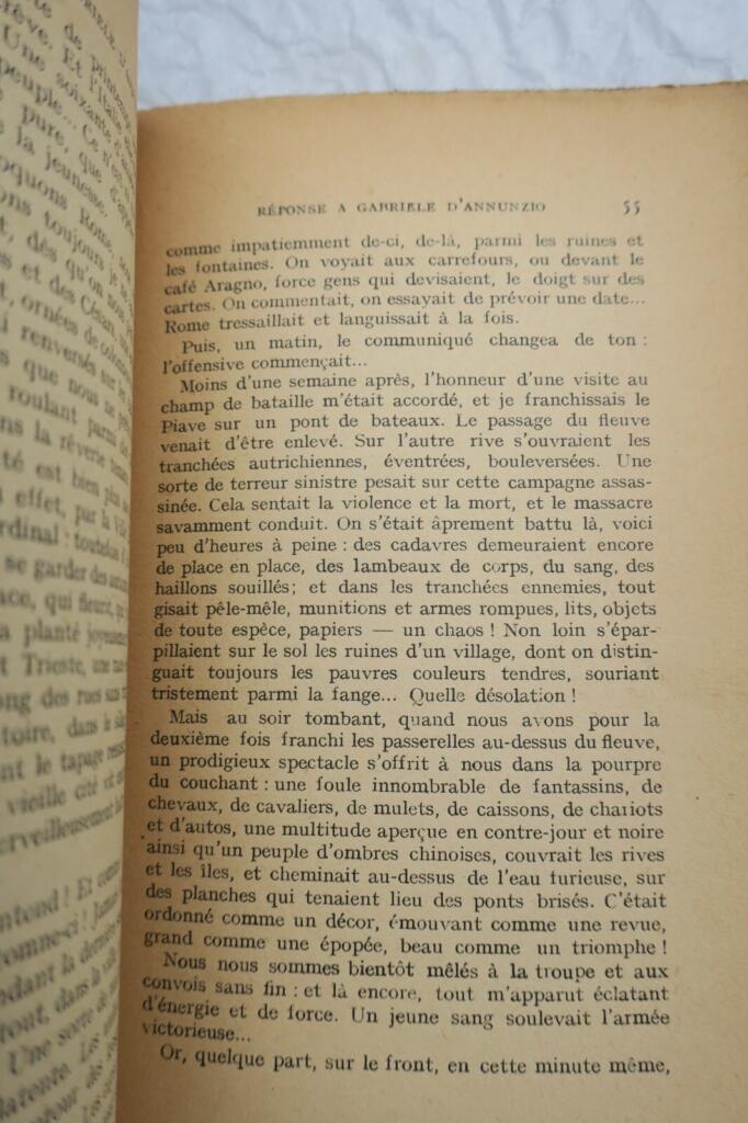 Response to Gabriele D'Annunzio